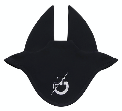 CT team earnet