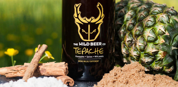Wild Beer Tepache Mini Keg