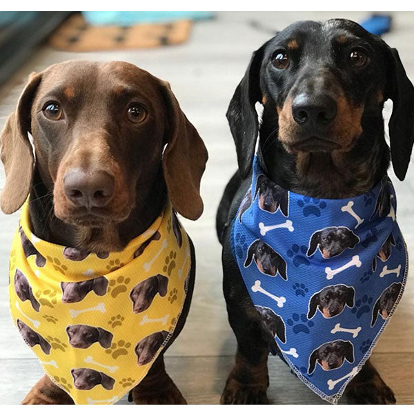 Custom Pet Bandana – My Pet Prints