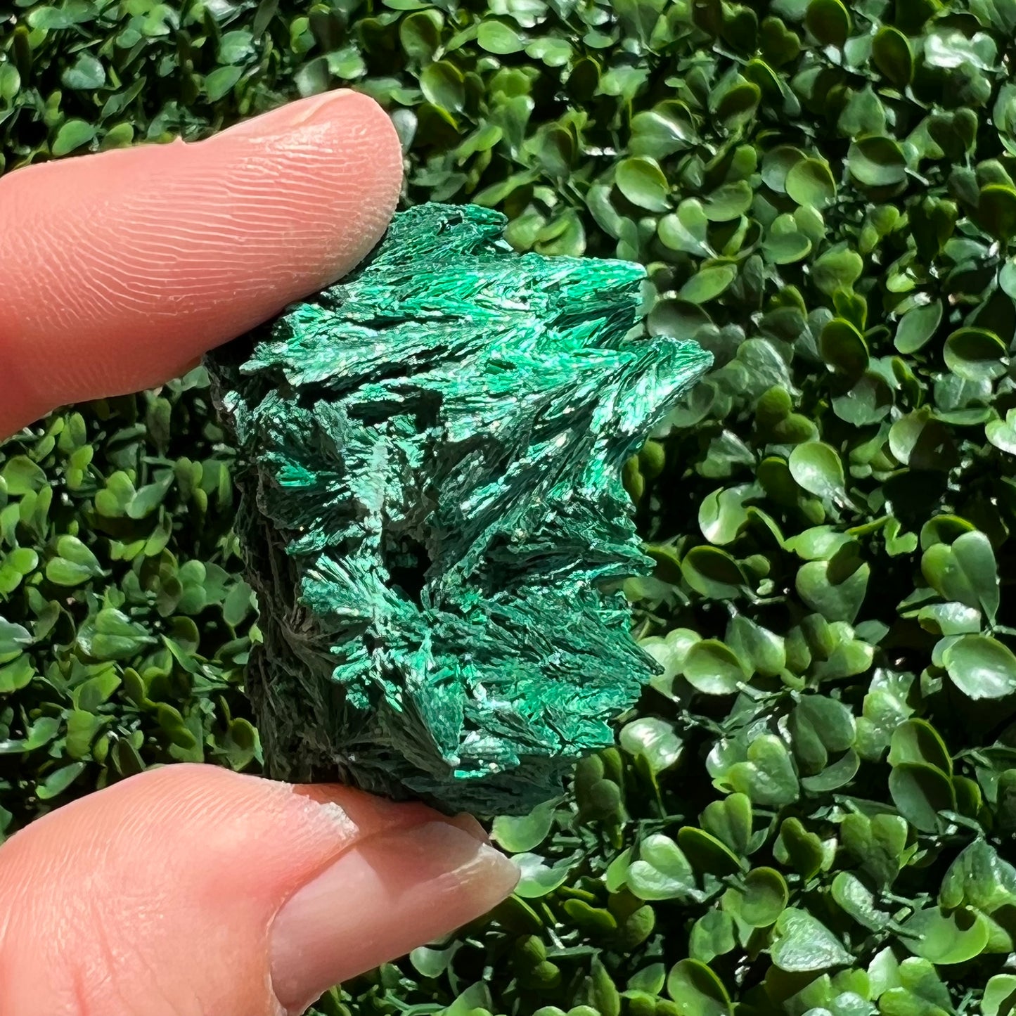 Fibrous Malachite Specimen