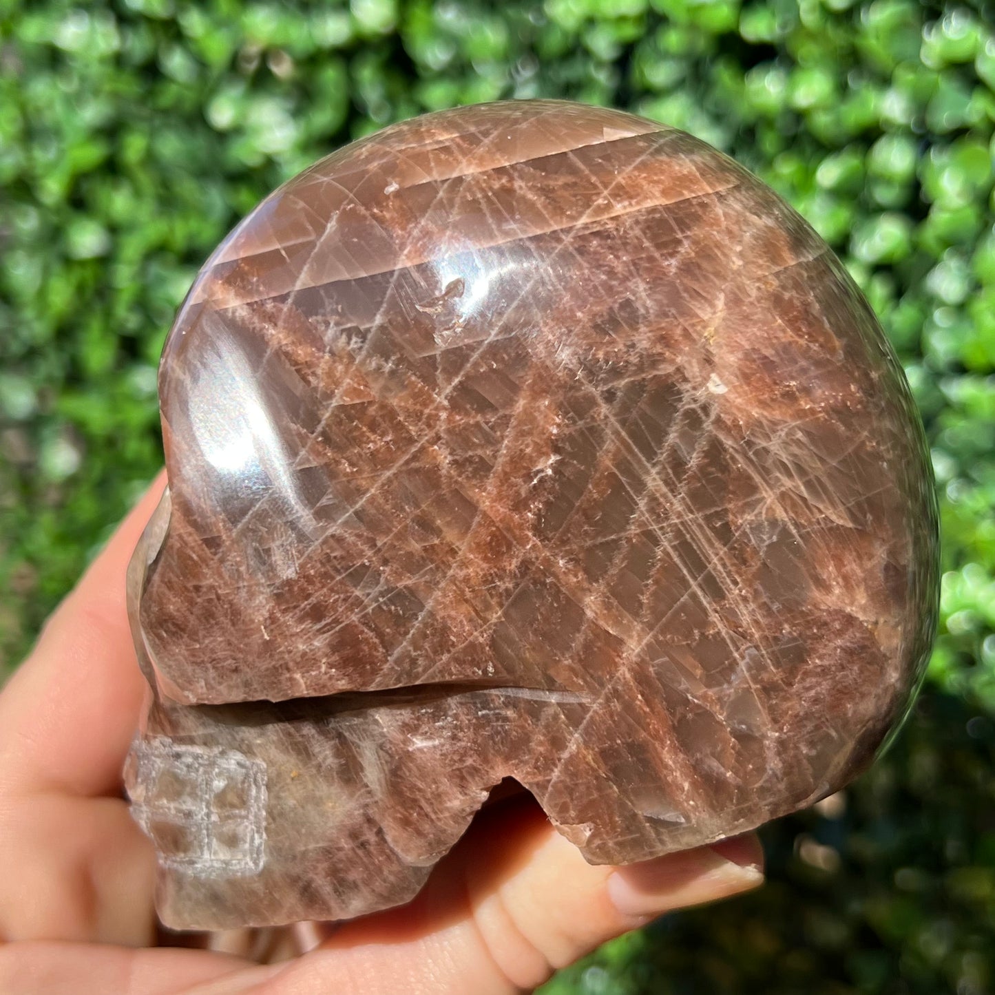 Peach Moonstone Skull