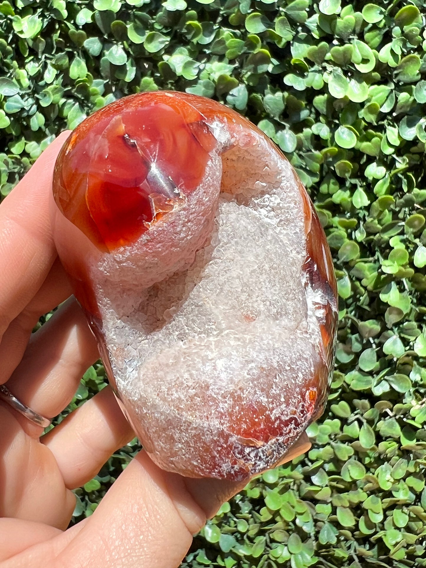 Carnelian Free Form
