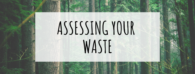 assessing your waste
