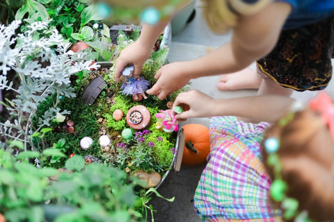 building a fairy garden with beebledeebop owner cindy eggertz