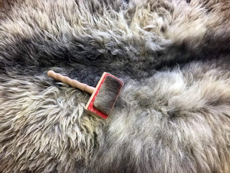 Why You Should Brush Your Sheepskin Rug Regularly | Sheepskin Brushing