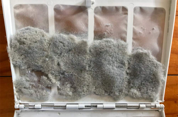 Clean out dryer filter of wool dust regularly