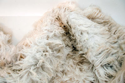 Drain the sheepskin after washing and rinsing