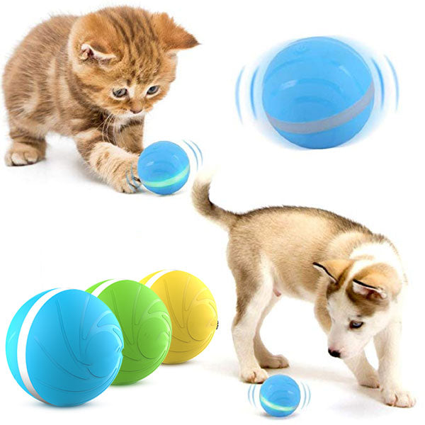 smart ball for dogs