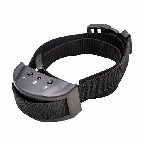 anti bark collar