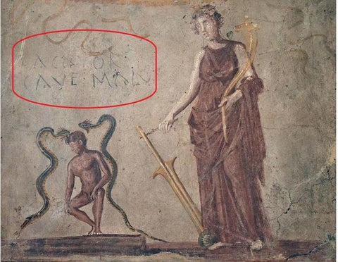 Roman graffiti near toilets reminds us that we are only separated from the Romans by time.