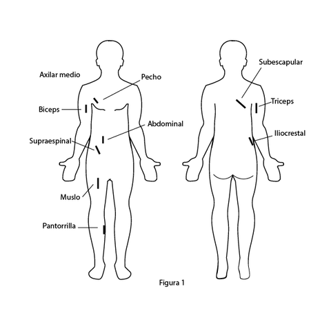 Sitios de medicion de pliegues cutaneos en el cuerpo