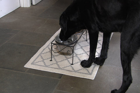 black lab dog using elevated feeder bowl
