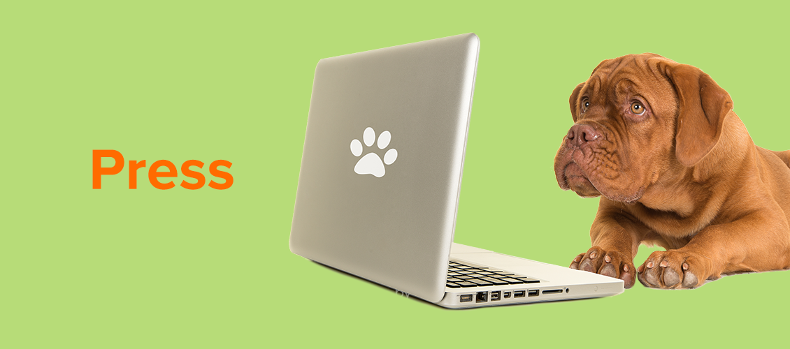 Image of dog at laptop
