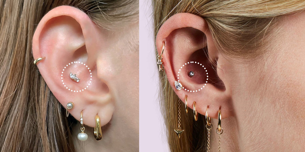 Aan het leren bevind zich Controverse Conch Jewelry - Unique Conch Piercing Jewelry | FreshTrends