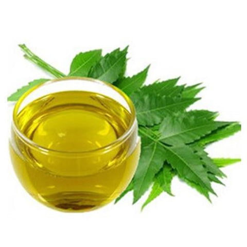 Historical Context of Neem Oil