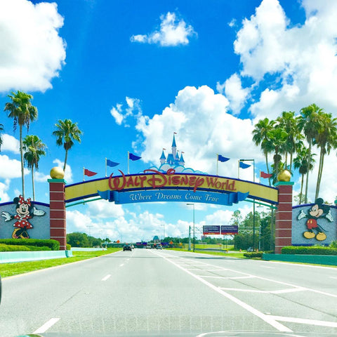 Walt Disney World Entrance