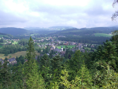 Hinterzarten