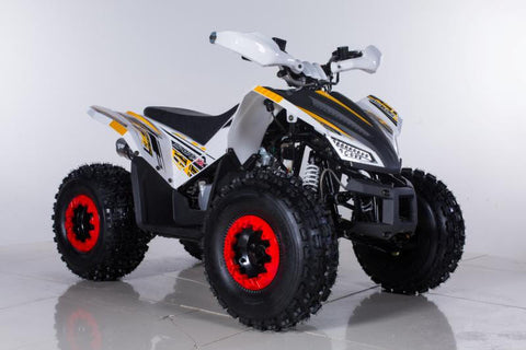 Tao Motor REX 120cc Automatic Sport Style ATV with Reverse by powersportsgonewild.com