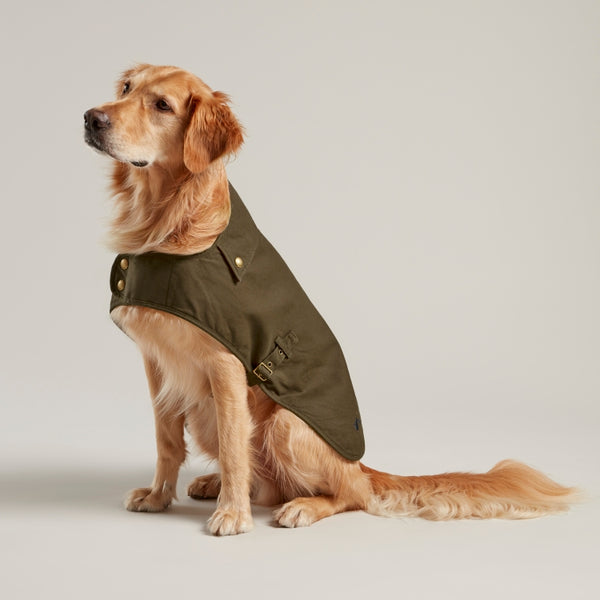 dog barbour coat sale