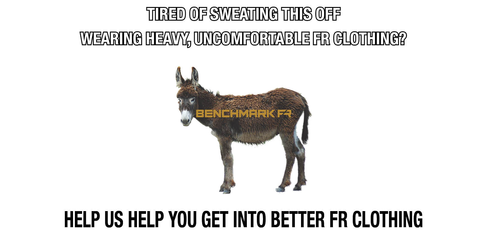 sweating donkey