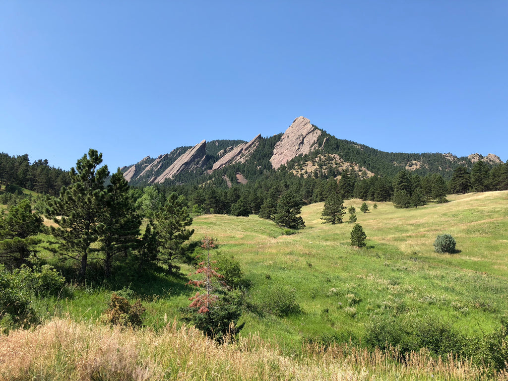 boulder flatirons with the shred dog pack