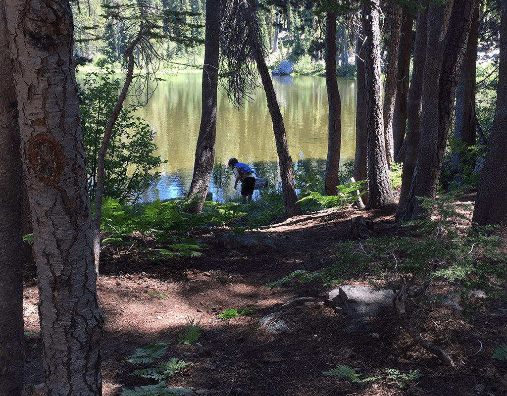 finding frogs near a lake