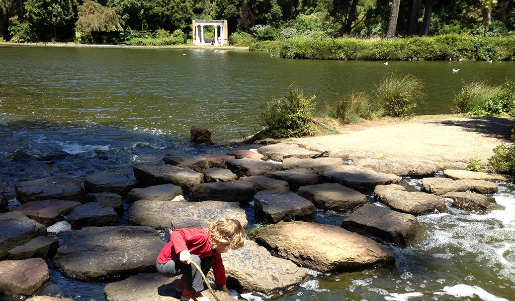 Boy playing in pond at golden gate park