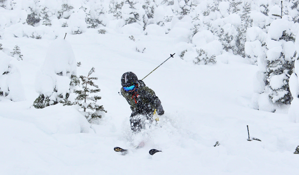 shred dog kid blasting through powder