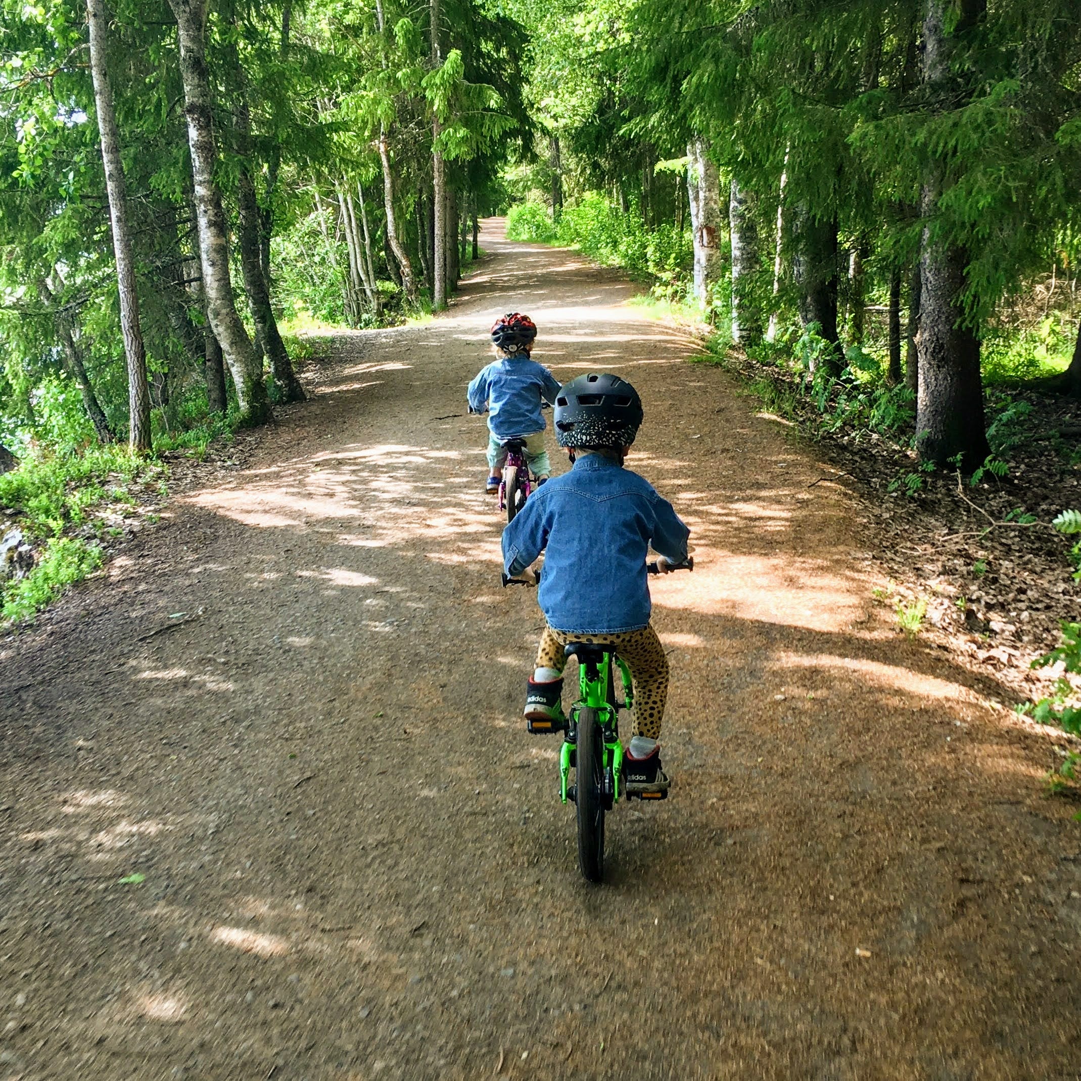 Two boys on bikes in the woods