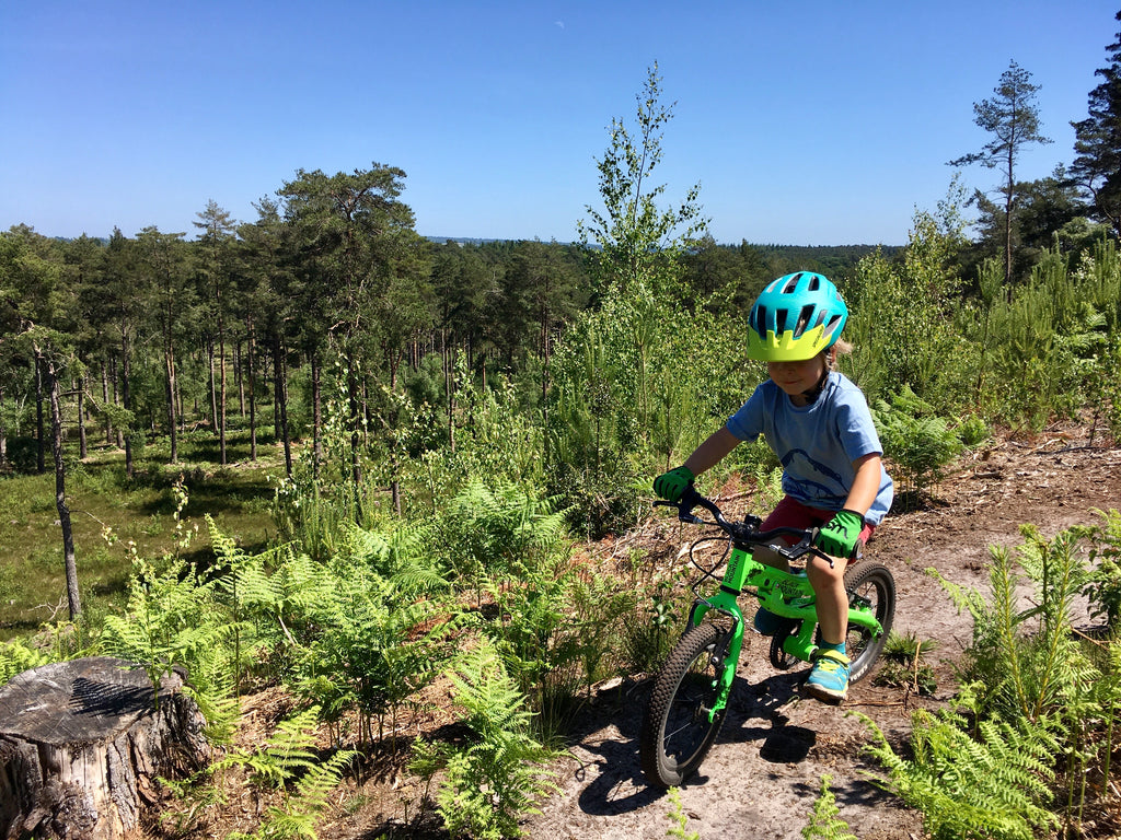 Boy riding bike on MTB trail