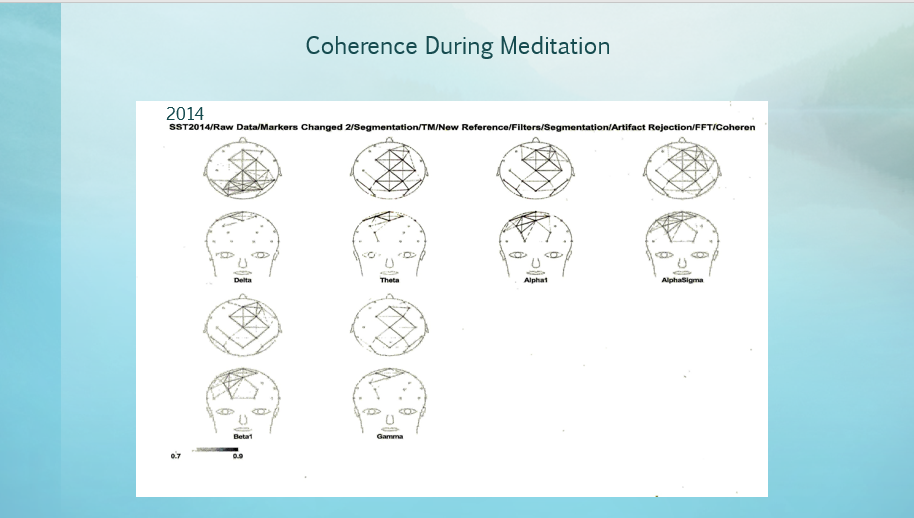 Coherence During Meditation 2014