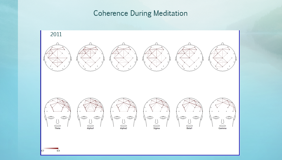 Coherence During Meditation 2011