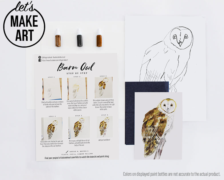 Barn Owl Watercolor Kit Let S Make Art