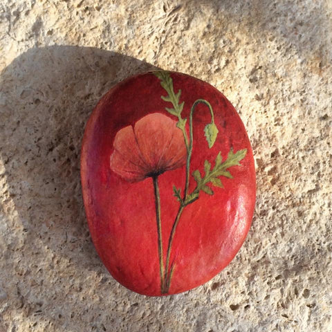poppy red flower painted rock beautiful decoration red love Lysa Mignot