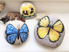 painted rocks butterflies home decorations