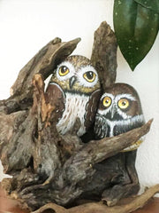 painted rocks owls home decorations by artist Lidia Zingerle