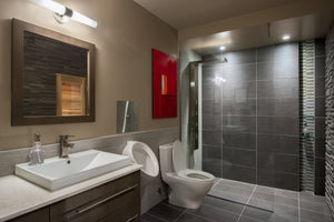 Basement bathroom with urinal, shower, and sauna