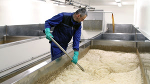 Open fermentation at Westvleteren brewery