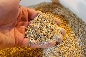 A perfect crush results in most of the husks remaining intact while the grain inside is cracked into approximately 2-4 pieces