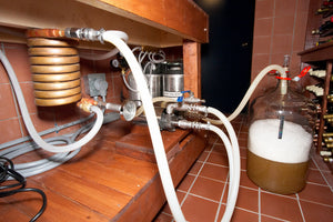 Wort being chilled and racked (transferred) into a glass carboy