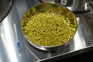 16 oz of hops blending up for our Electric Hop Stand Pale Ale