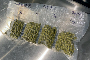 Storing hops and dry yeast. Step 5: Seal pouches