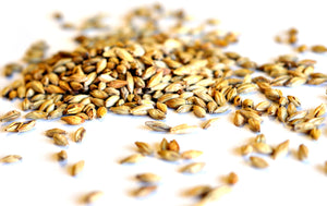 British Amber malt (18-32L)