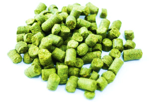 UK Northdown hops