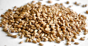 Wheat malt (1.5-2.4L)