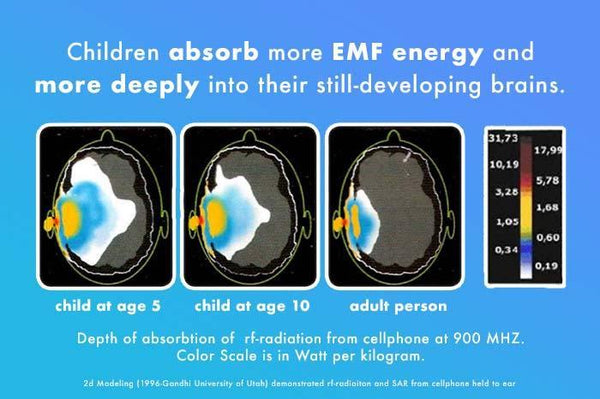 children and emf cellphone and wifi radiation