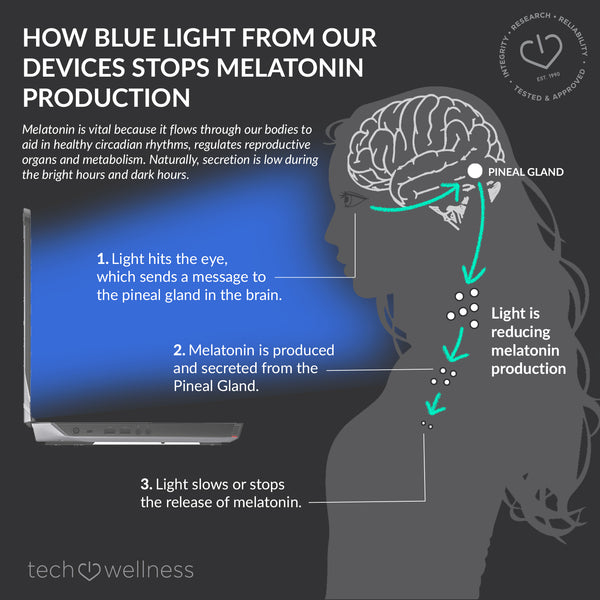 blue light stops melatonin