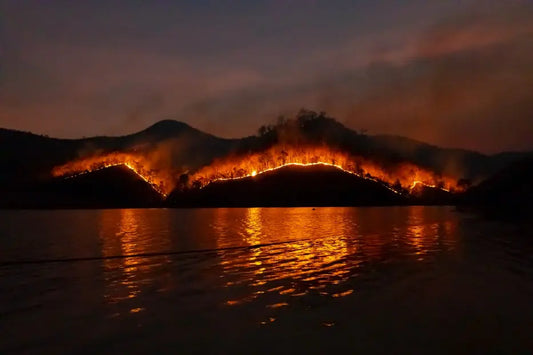 Fire Management in California: A Systems Approach to Mitigating Risk