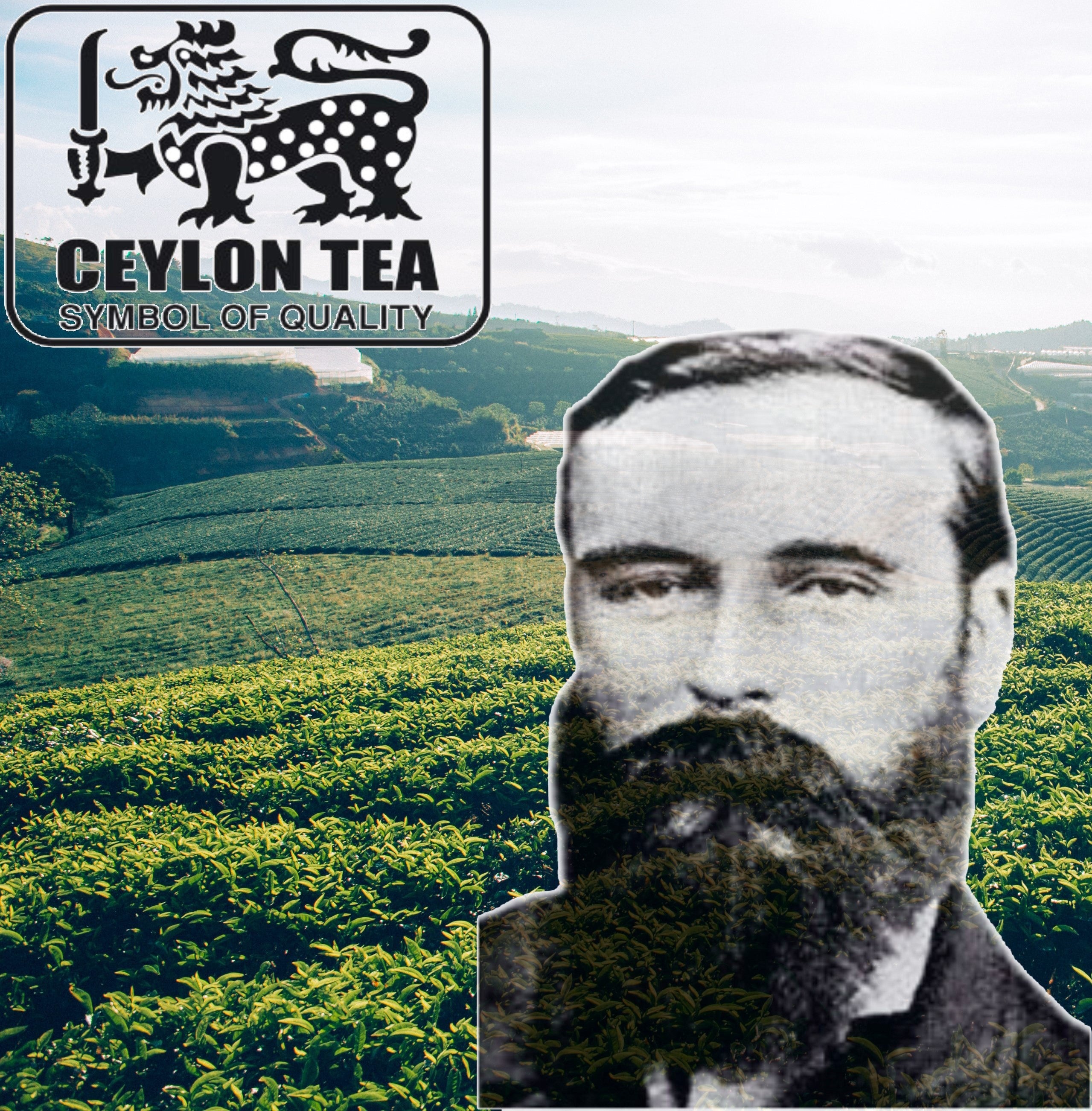 The Father of Sri Lankan Tea