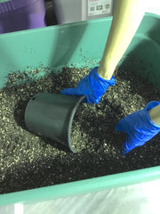 Placing soil into a pot for transplanting. From: Step-by-step, How To Transplant MJ Clones by Suite Leaf Plant Nutrients